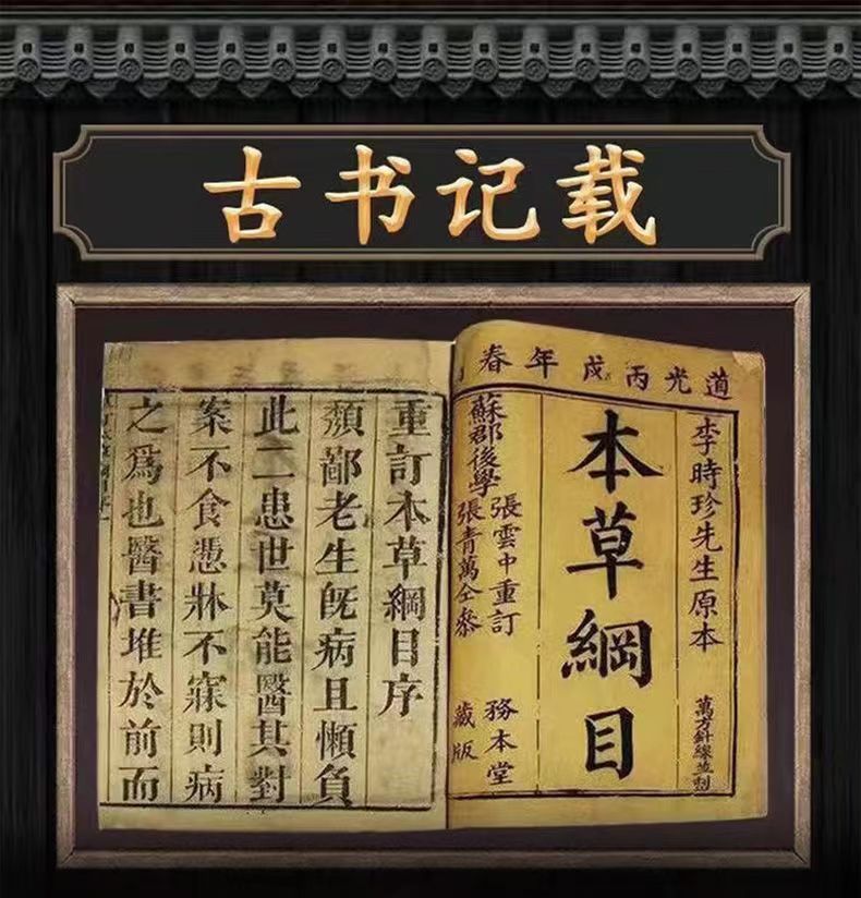 乐益宁5.jpg